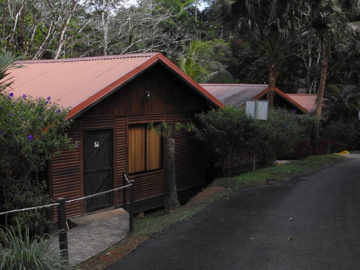 Hotel Pedacito De Cielo Boca Tapada Extérieur photo